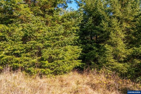 Lot 2300 SE Lafayette Highway Dayton OR 97114