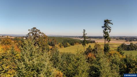 Lot 2300 SE Lafayette Highway Dayton OR 97114