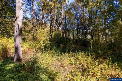 Lot 2300 SE Lafayette Highway Dayton OR 97114