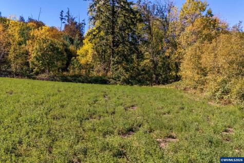Lot 2300 SE Lafayette Highway Dayton OR 97114