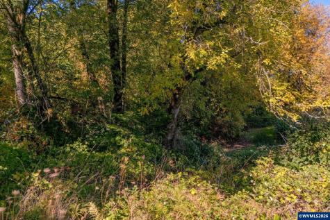 Lot 2300 SE Lafayette Highway Dayton OR 97114