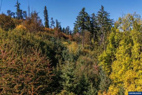 Lot 2300 SE Lafayette Highway Dayton OR 97114