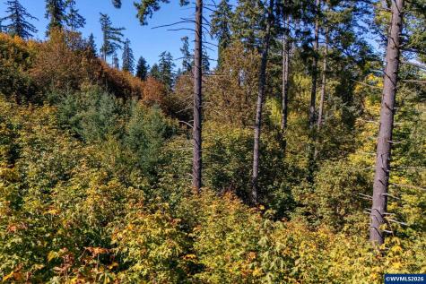Lot 2300 SE Lafayette Highway Dayton OR 97114