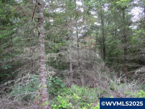 00 Gruber South Road Estacada OR 97023