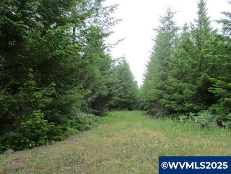 00 Gruber South Road Estacada OR 97023