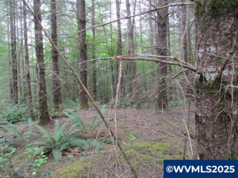 00 Gruber South Road Estacada OR 97023
