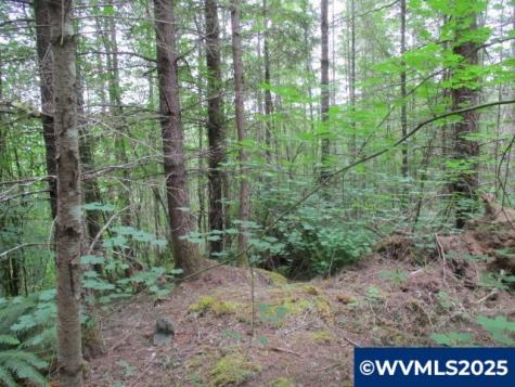 00 Gruber South Road Estacada OR 97023