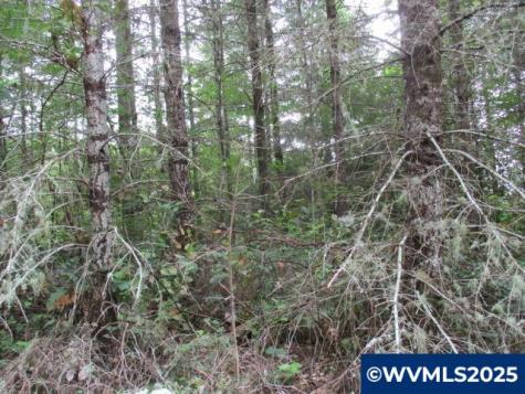 00 Gruber South Road Estacada OR 97023