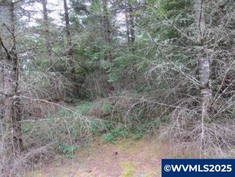 00 Gruber South Road Estacada OR 97023