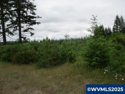 00 Gruber South Road Estacada OR 97023