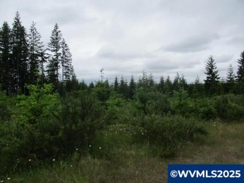 00 Gruber South Road Estacada OR 97023