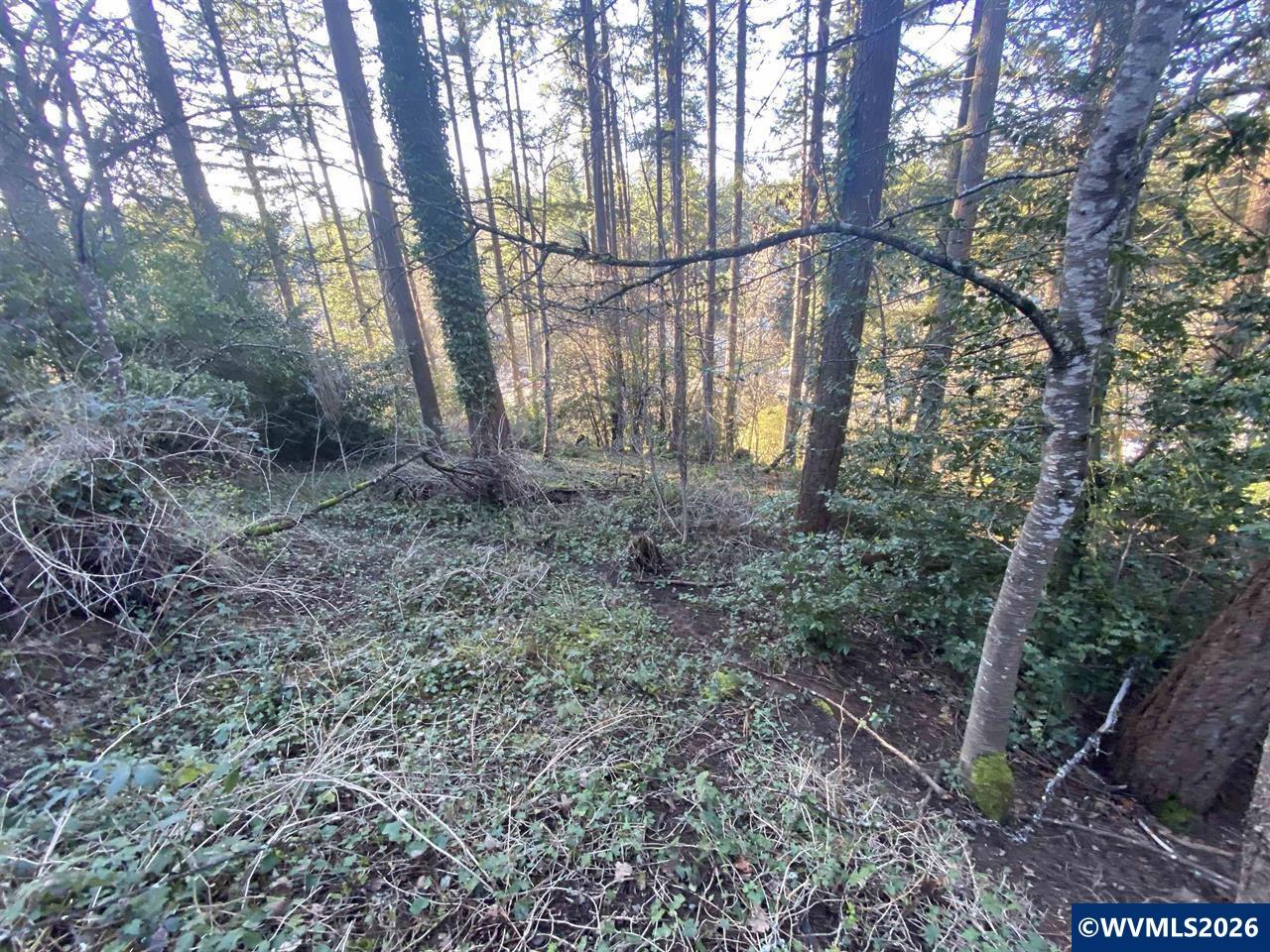 1810 NW Alta Vista Drive Corvallis OR 97330