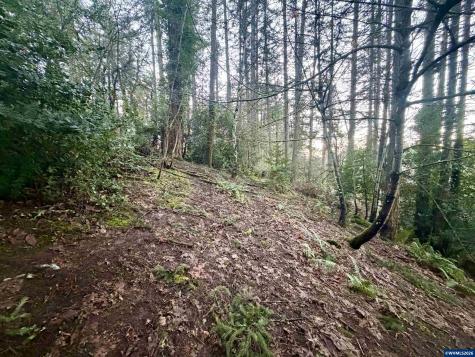 1810 NW Alta Vista Drive Corvallis OR 97330