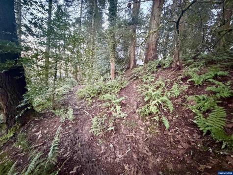 1810 NW Alta Vista Drive Corvallis OR 97330
