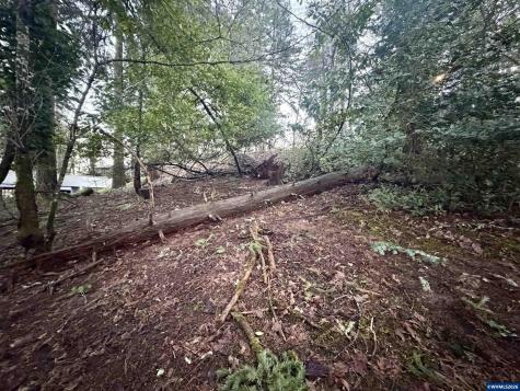 1810 NW Alta Vista Drive Corvallis OR 97330
