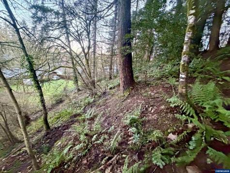 1810 NW Alta Vista Drive Corvallis OR 97330