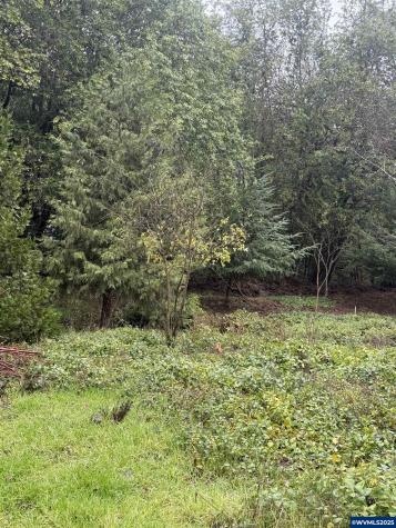 480 SE Woody Court Myrtle Creek OR 97457