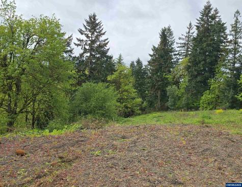 3595 Ghiglieri Court West Linn OR 97068