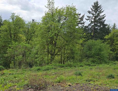 3595 Ghiglieri Court West Linn OR 97068