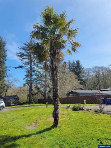6281 SW Jetty Avenue Lincoln City OR 97367