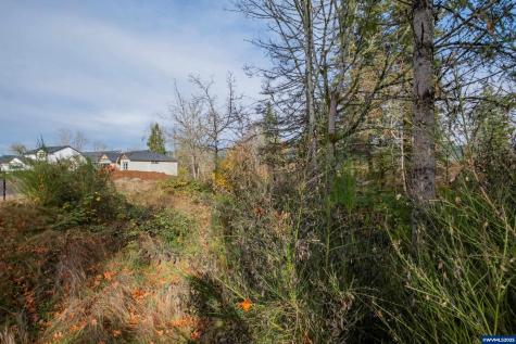 1401 45th Avenue Sweet Home OR 97386