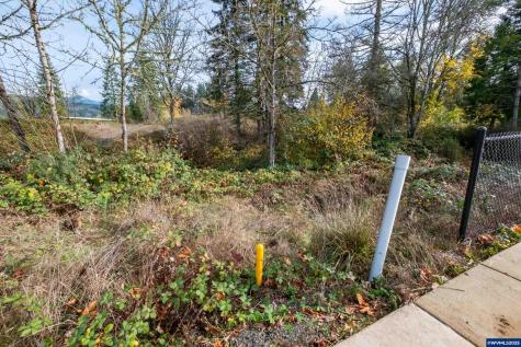 1401 45th Avenue Sweet Home OR 97386