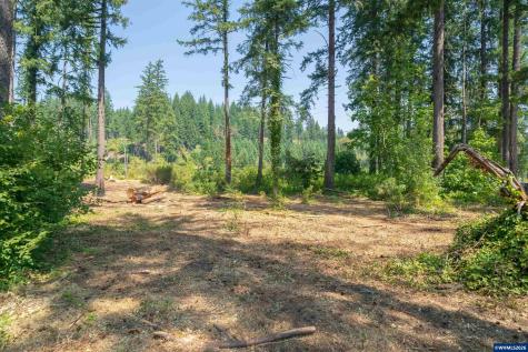 Lot 1101 Santiam Park Road SE Lyons OR 97358