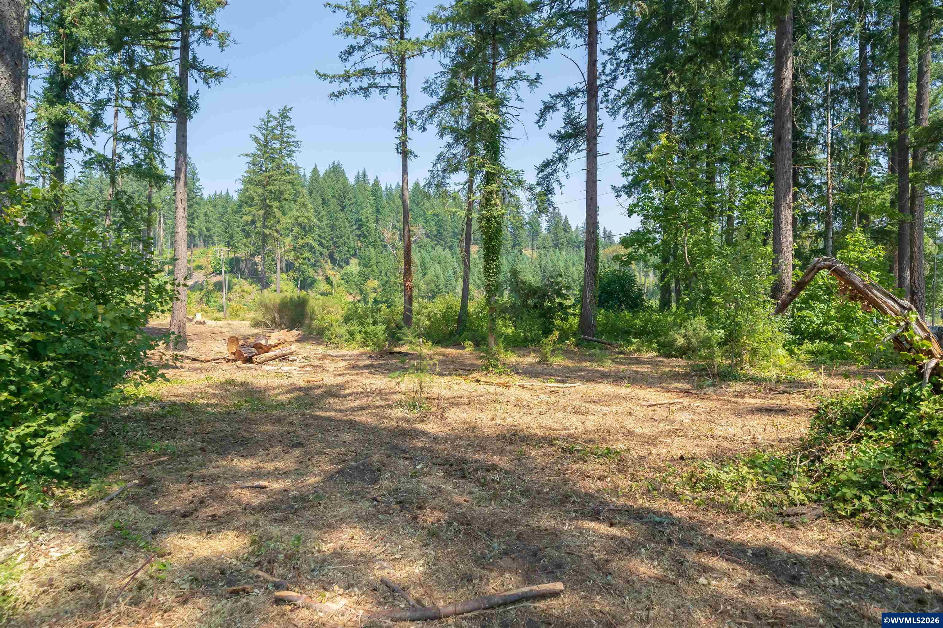 Lot 1101 Santiam Park Road SE Lyons OR 97358