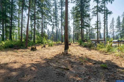 Lot 1101 Santiam Park Road SE Lyons OR 97358