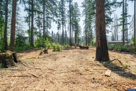 Lot 1101 Santiam Park Road SE Lyons OR 97358