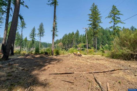 Lot 1101 Santiam Park Road SE Lyons OR 97358