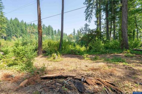 Lot 1101 Santiam Park Road SE Lyons OR 97358