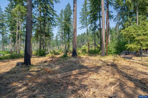 Lot 1101 Santiam Park Road SE Lyons OR 97358