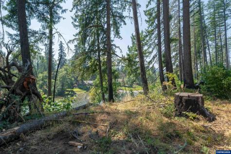 Lot 1101 Santiam Park Road SE Lyons OR 97358