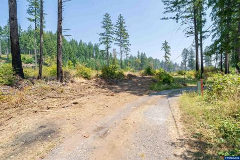 Lot 1101 Santiam Park Road SE Lyons OR 97358