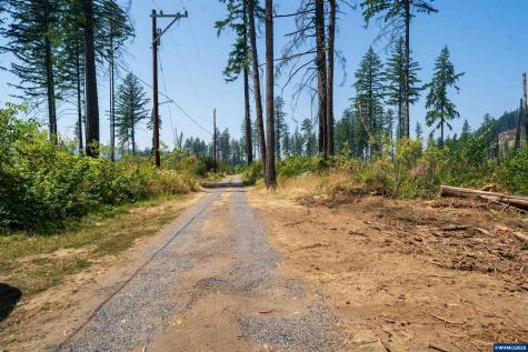 Lot 1101 Santiam Park Road SE Lyons OR 97358