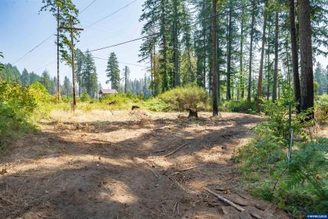 Lot 1101 Santiam Park Road SE Lyons OR 97358