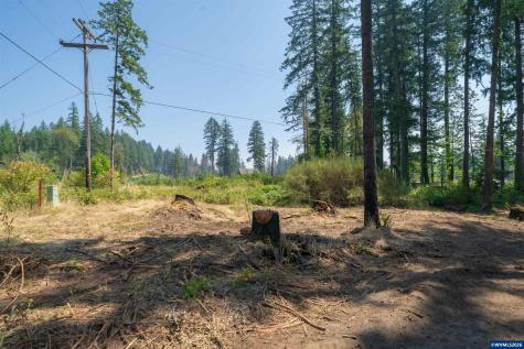 Lot 1101 Santiam Park Road SE Lyons OR 97358