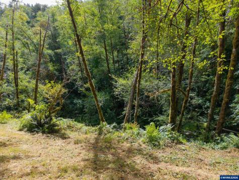 14382 Lobster Valley Road Alsea OR 97324