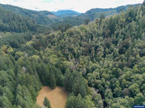 14382 Lobster Valley Road Alsea OR 97324