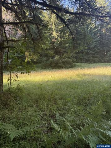 14382 Lobster Valley Road Alsea OR 97324