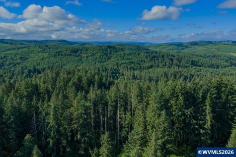 41388 Keel Mountain Drive Lebanon OR 97355
