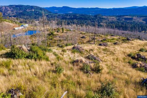 10915 SE Kubin Road Lyons OR 97358