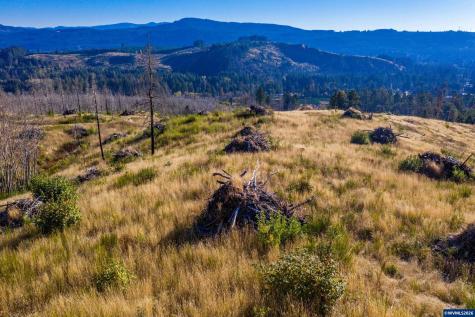 10915 SE Kubin Road Lyons OR 97358