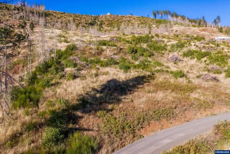 10915 SE Kubin Road Lyons OR 97358