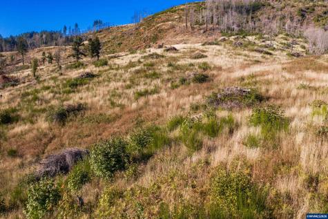 10915 SE Kubin Road Lyons OR 97358