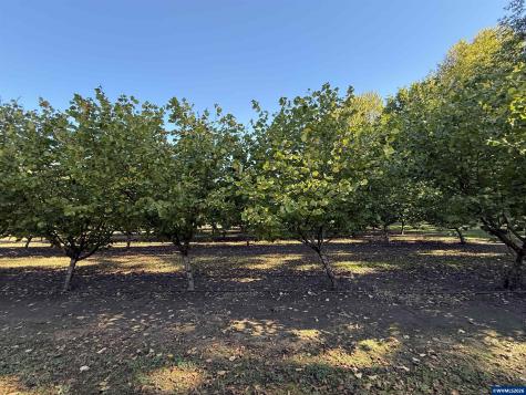 41792 Kingston Jordan Road SE Stayton OR 97383