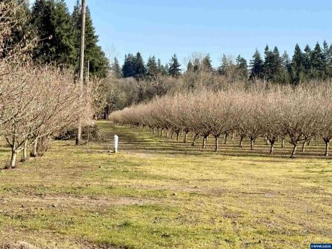 41792 Kingston Jordan Road SE Stayton OR 97383