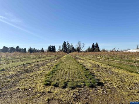 41792 Kingston Jordan Road SE Stayton OR 97383