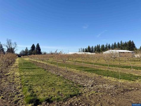 41792 Kingston Jordan Road SE Stayton OR 97383